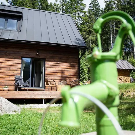 Kamenie Domek letniskowy